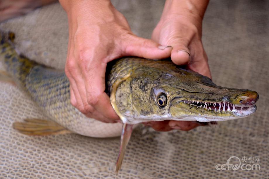 ��ȸ��Ϊʲô�¿�ȸ�� ��ȸ���Բ�����