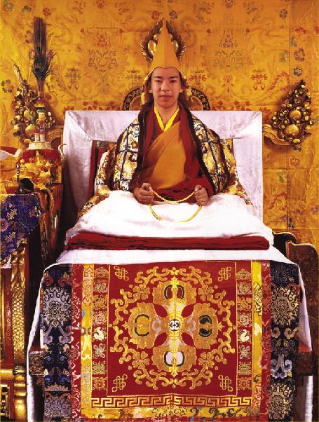 ��������ôѡ������ �����ʹ������ߵ�����ʲô����