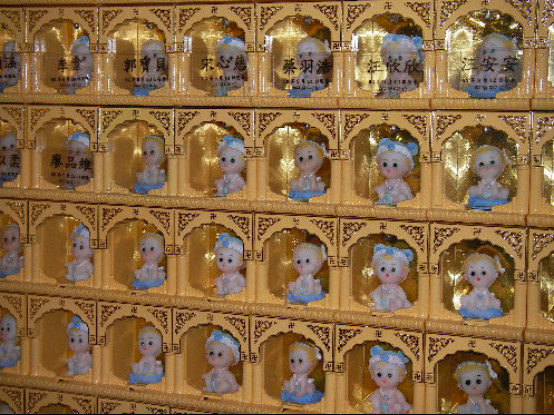 Ӥ�鳬����ʲô Ӥ���ǲ����ڵ�