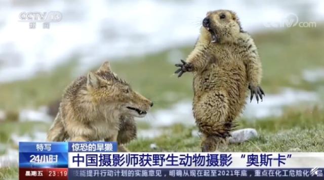 ��̡�����������������Щ ��������ζ����ô��ô��