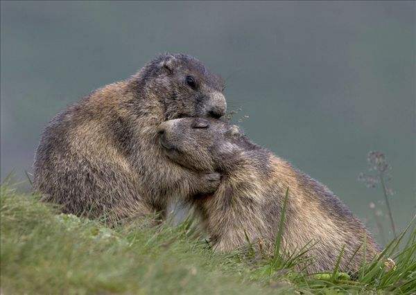 ��̡�����������������Щ ��������ζ����ô��ô��