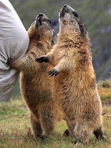 ��̡�����������������Щ ��������ζ����ô��ô��