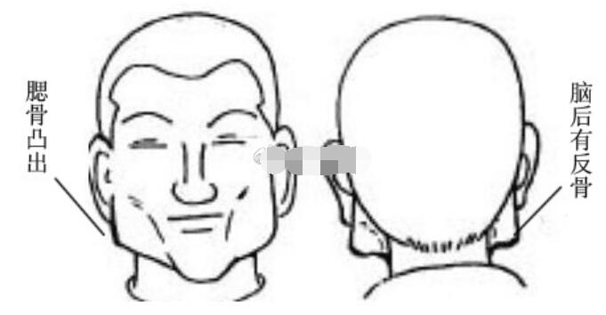 脑袋有反骨是什么意思 后脑勺长反骨的人命运好吗