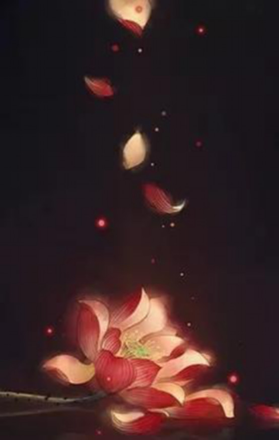 ������֮����ʲô ���������