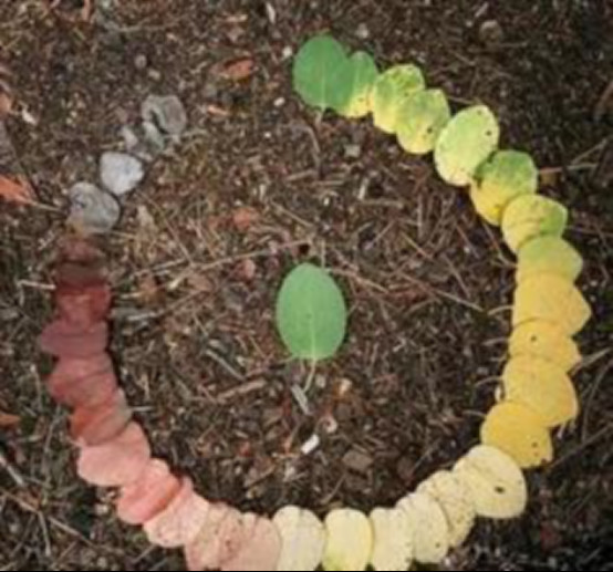 ������֮����ʲô ���������