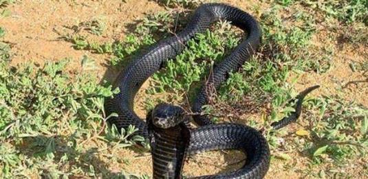 ��Ѫ��Ϊʲô��ô�� ������������ǰʮ������