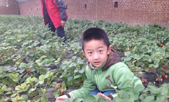 ������Ϊʲôֱ�������ֱ� �����ڵ���Ƭʲô����