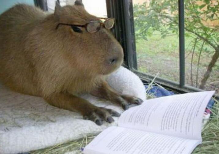 ˮ����ʲô���� ���й�Ӧ���ǿ���˽����ˮ���