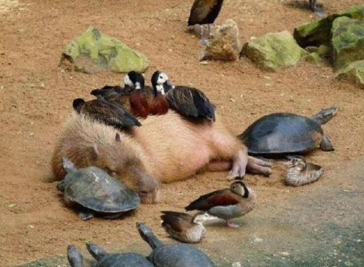 ˮ����ʲô���� ���й�Ӧ���ǿ���˽����ˮ���