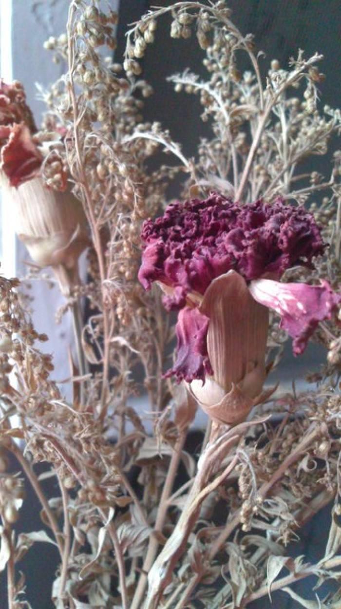 ����Ÿɻ��Է�ˮ���õ�ԭ�� ���ɻ�ΪʲôҪ����