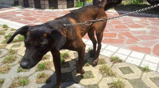 �й������ڹ�������۹��� �й������Ĵ��������ļ���