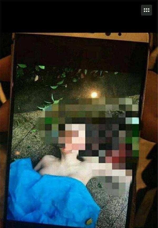 �ν�׹¥������������������ �����������ɶ̬��
