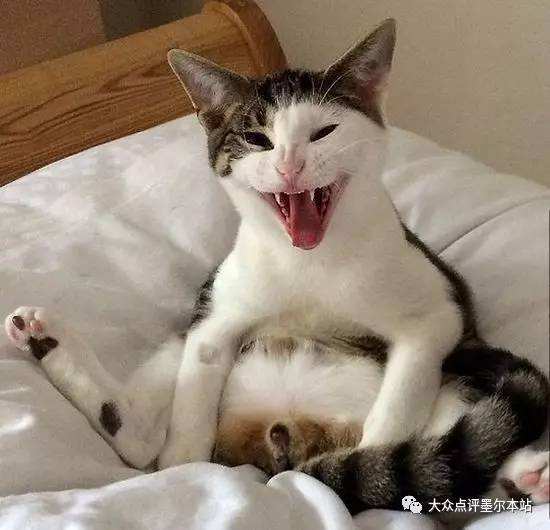 ѹǹ��ʲô�۵ĺ��� ����˵ѹǹ��ʲô��˼