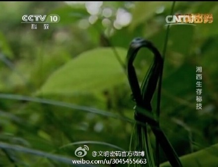 ³�ɹ���������ô����������� ��������ħ����