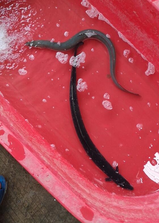 Ϊʲô˵�����Ա��д�� Ǩ���л����Ǽ�������