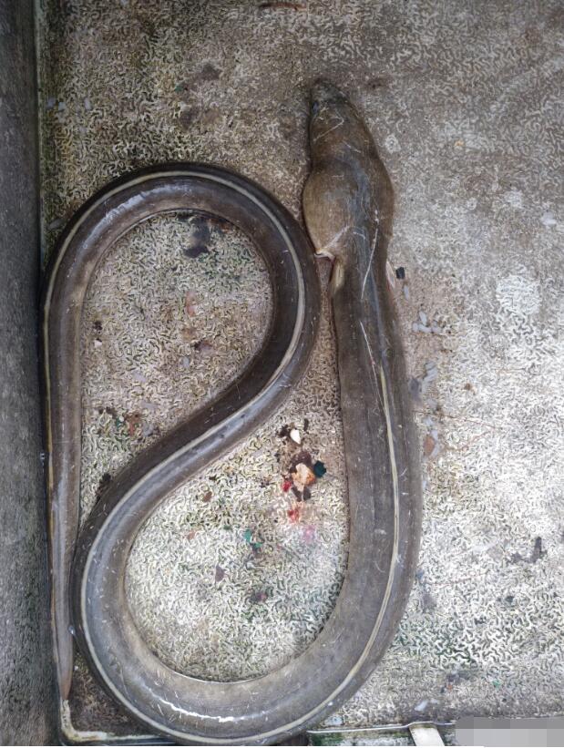 Ϊʲô˵�����Ա��д�� Ǩ���л����Ǽ�������