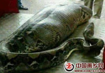 �������߾�����һ����ͼ ���������̶�û�����