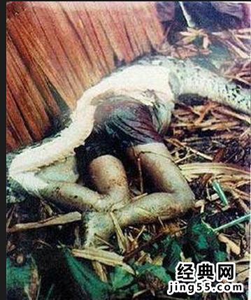 �������߾�����һ����ͼ ���������̶�û�����