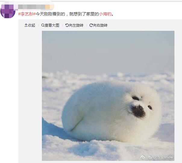 ����ͮ�������ϼ�� �����ķ�˿���еĳ�ΪС����