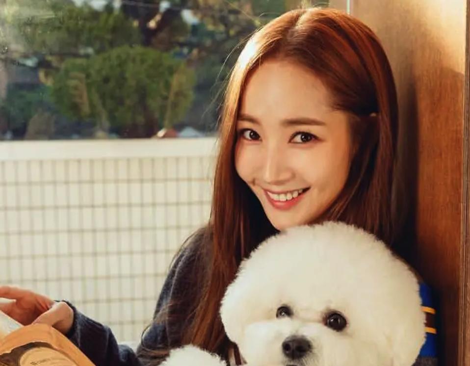 �����Ϊʲô��ę́�� ���������Ӣ��������