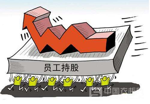 ��ΪԱ���ֹɷ��� ��Ϊ��˾Ա���ֹɵľ���ʵʩ����