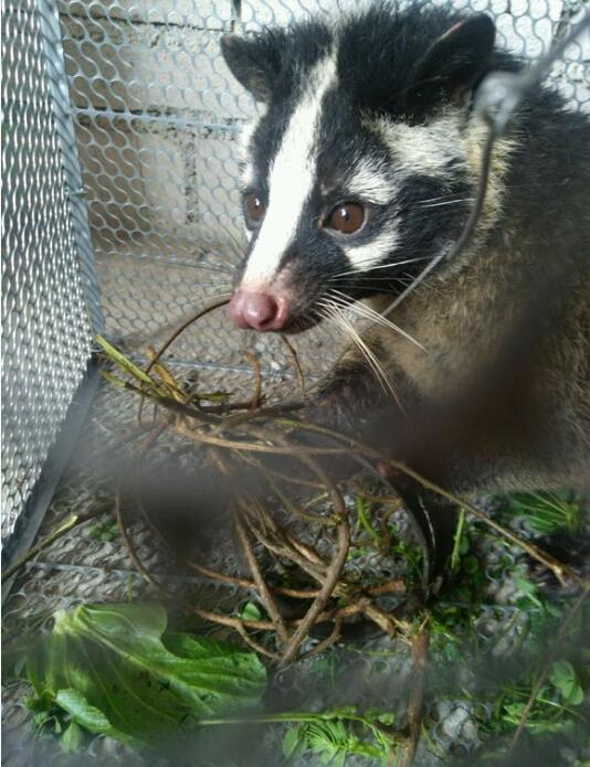 ������Я���ǵ䲡���� ������Ϊʲô��ô�������Լ�������