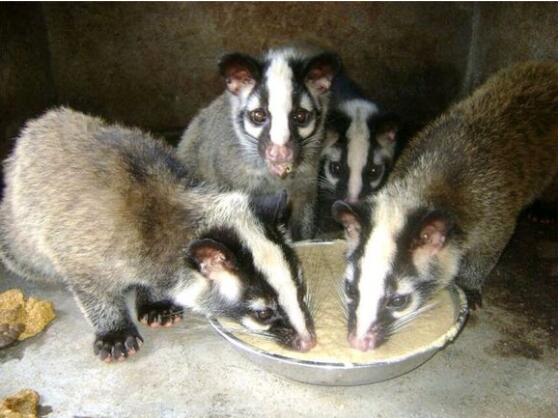 ������Я���ǵ䲡���� ������Ϊʲô��ô�������Լ�������