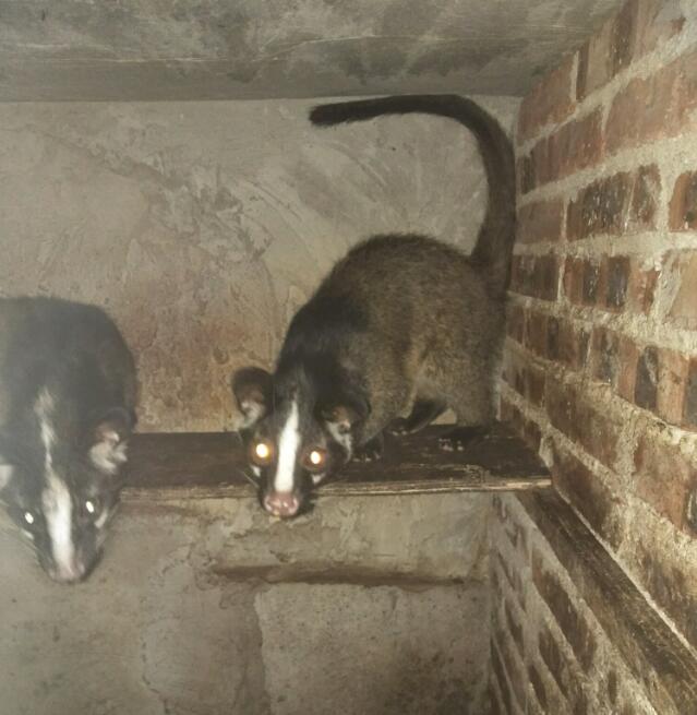 ������Я���ǵ䲡���� ������Ϊʲô��ô�������Լ�������