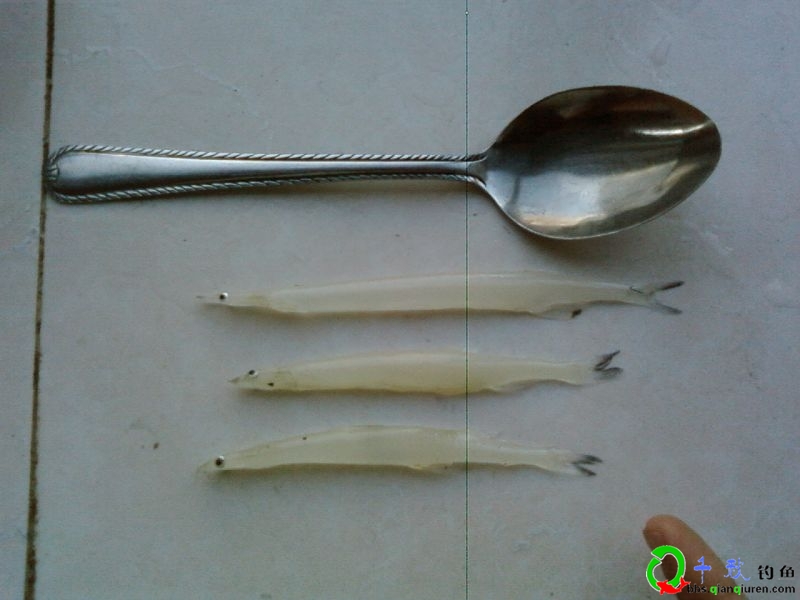 面条鱼是什么鱼 面条鱼和银鱼的区别