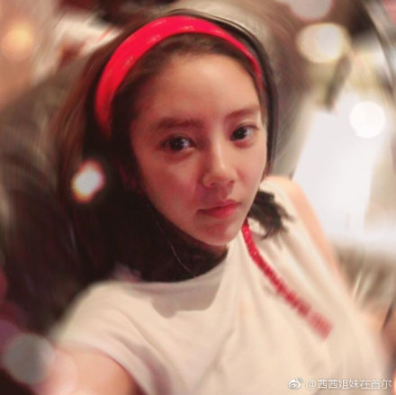 �ﵤ��������ô��Ϊʲô�������� �ﵤ������������