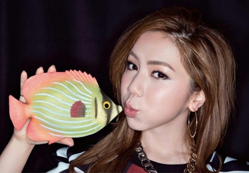 ������͵�����ʲô��ϵ ���������Ͻ���