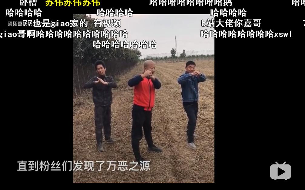 ���ú�����͢��ʲô��ϵ ����������������͢��