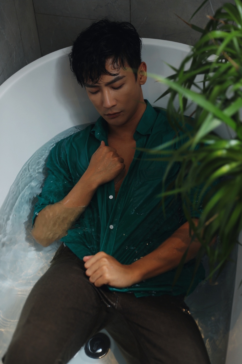 Ҷ������������ ��Ϊʲô����