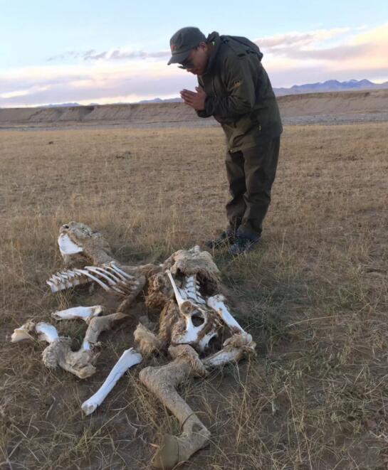 ����ɽ�������������Ͽ�����˽��� ���﷢����ʲô�����¼�