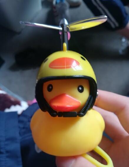 ���Ϲ�С��Ѽ��ʲô�� ��β��С��Ѽ����ɶ��˼