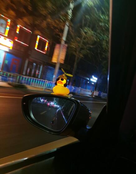 ���Ϲ�С��Ѽ��ʲô�� ��β��С��Ѽ����ɶ��˼