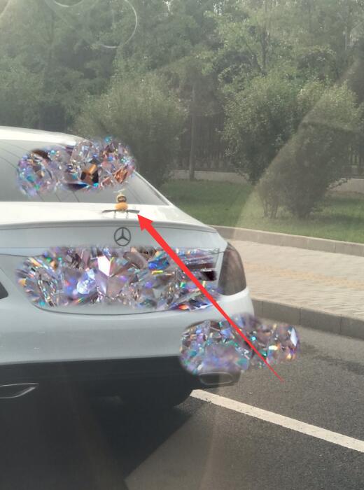 ���Ϲ�С��Ѽ��ʲô�� ��β��С��Ѽ����ɶ��˼