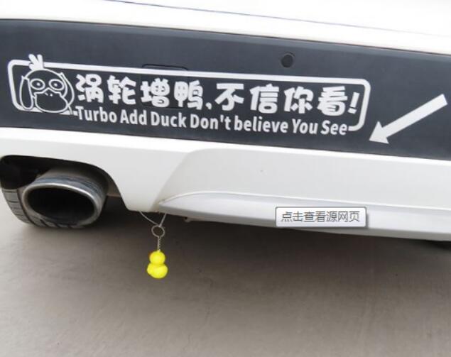 ���Ϲ�С��Ѽ��ʲô�� ��β��С��Ѽ����ɶ��˼