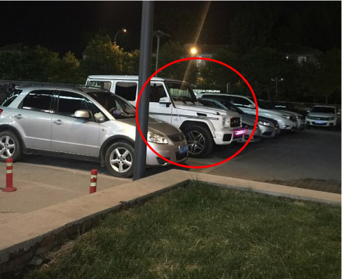 �����ǰ׸����������� ������������������