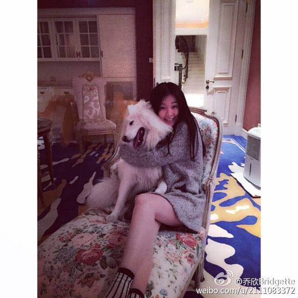 �����ǰ׸����������� ������������������