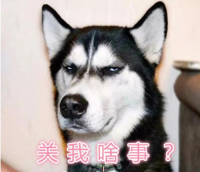 ��Ϊʲô��ҧ��ʿ�� �ǻ�ѹ�ʿ�浱ͬ����