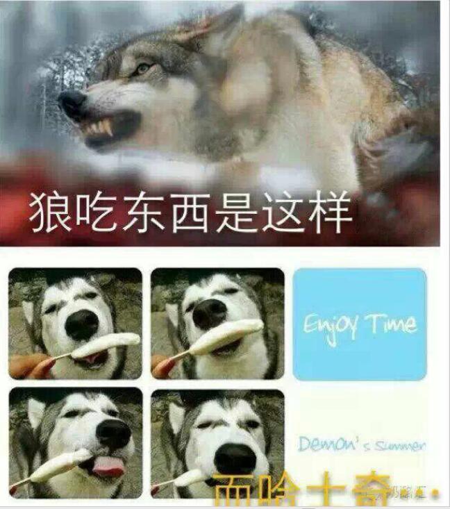 ��Ϊʲô��ҧ��ʿ�� �ǻ�ѹ�ʿ�浱ͬ����