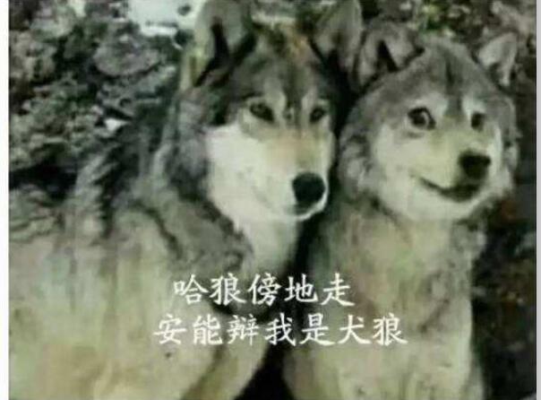 ��Ϊʲô��ҧ��ʿ�� �ǻ�ѹ�ʿ�浱ͬ����