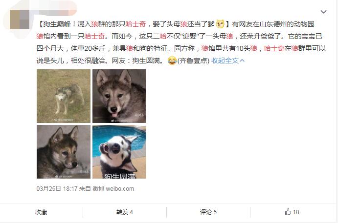 ��Ϊʲô��ҧ��ʿ�� �ǻ�ѹ�ʿ�浱ͬ����