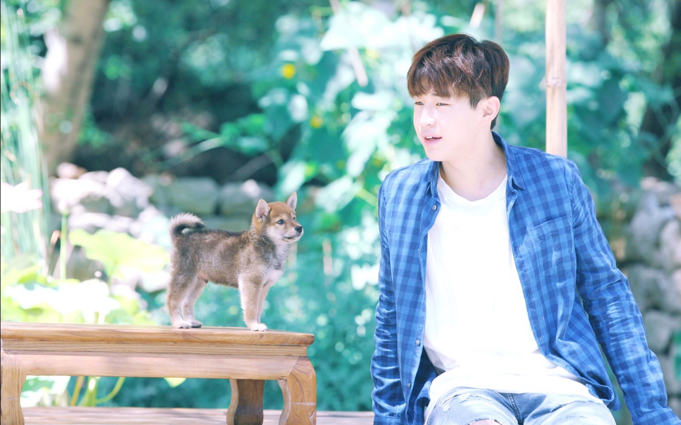 ���ܻ�ΪʲôΪʲô�д� ���ܻ��ǲ��������в�Ϊʲô��ôɵ