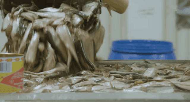 �����ͷ��ʺ�����ٱ� �������ͷ��ʲô�ô�