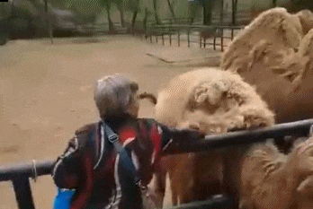 ��è����0.01Ԫ��Ʒ������ ��è���а�����Ʒ������ô�ҵ�