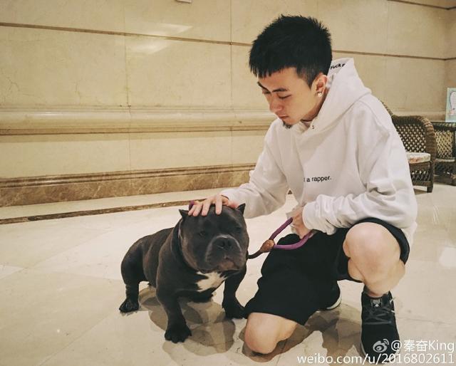 �طܵİְ���˭ ����������ǳ�������һ������