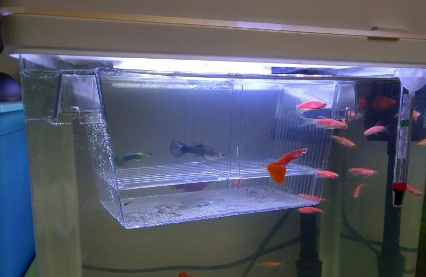 ��ȸ��Ϊʲô�а����㡢����������� ��Ϊʲô���Լ�����С��