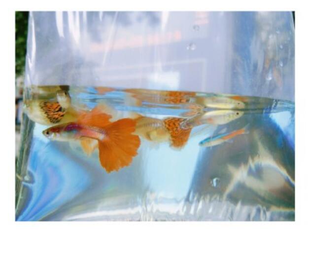 ��ȸ��Ϊʲô�а����㡢����������� ��Ϊʲô���Լ�����С��